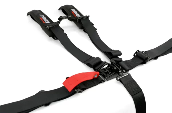 5 Point 2-Inch Harness - Image 2