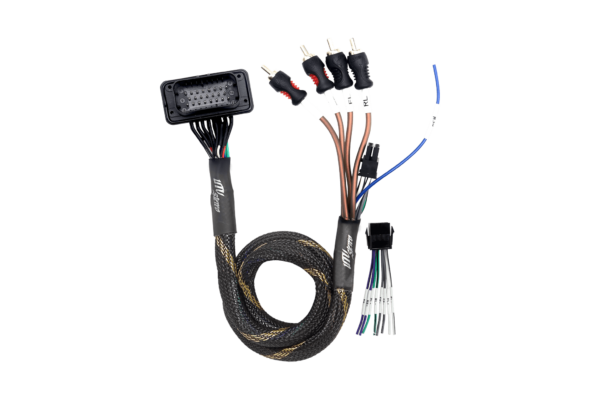 RZR® Pro Series Ride Command Front & Rear RCA Output + Speaker Wire & Remote | UTVS-PRO-RC-RCA-OUT